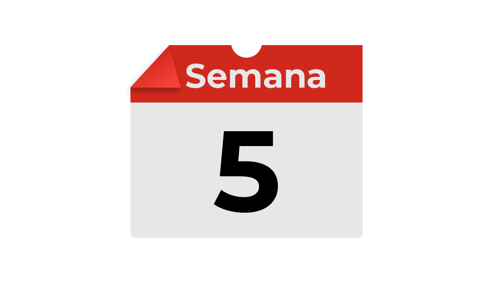 semana5