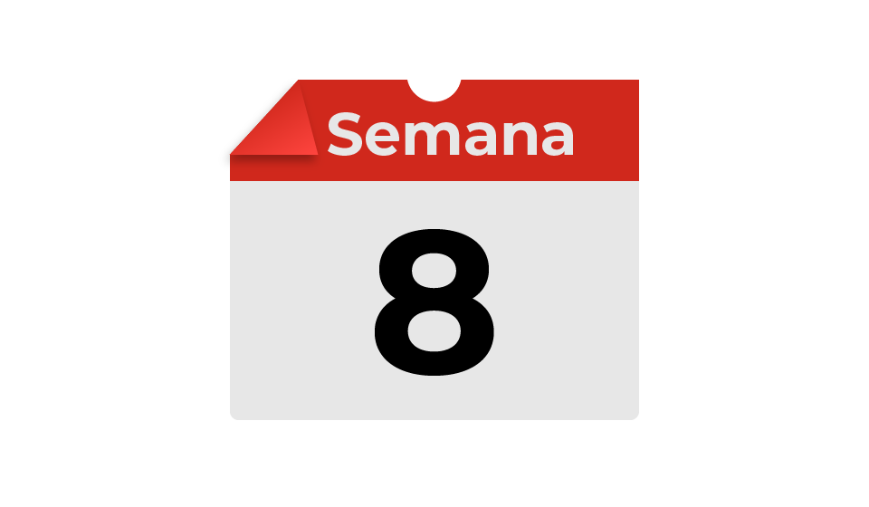 semana8