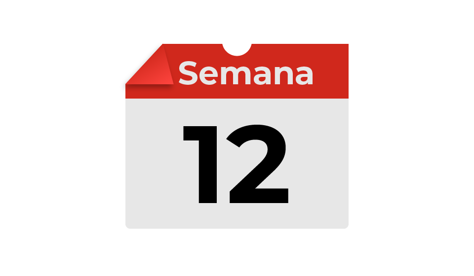 semana12