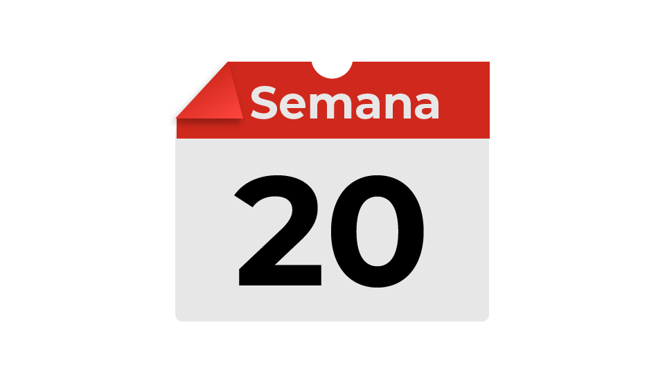 semana20