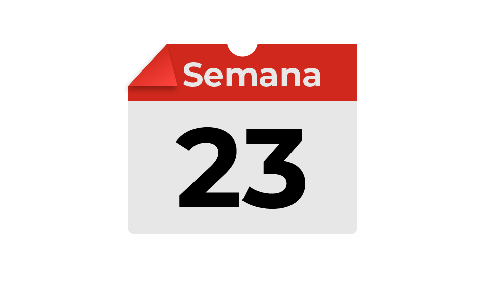 semana23