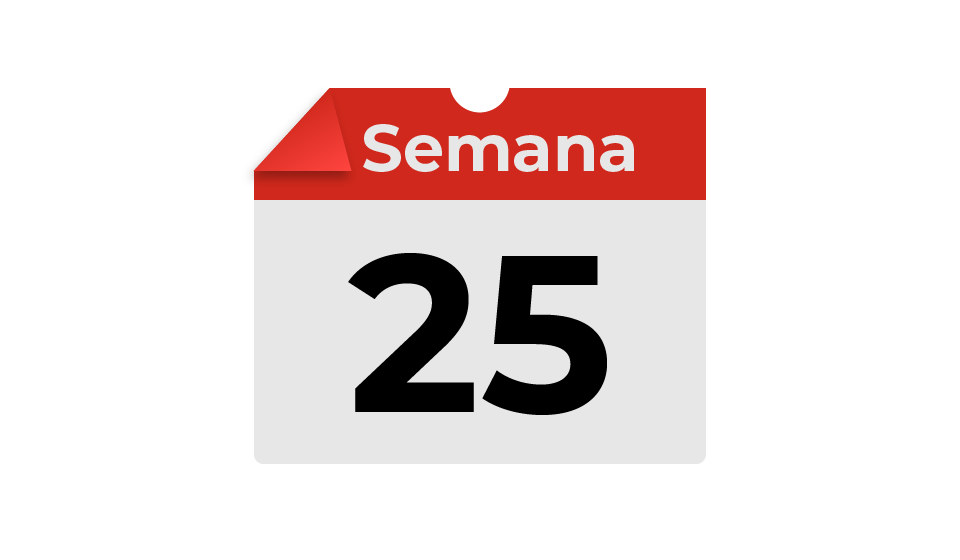 semana25