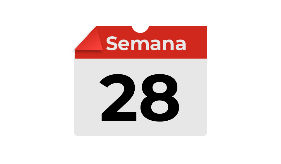 semana28