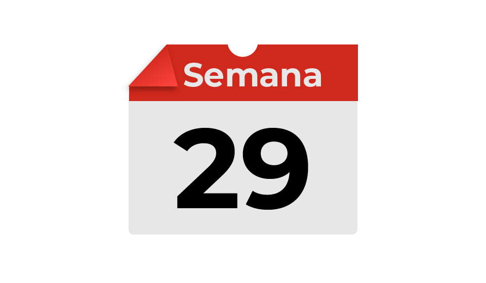 semana29