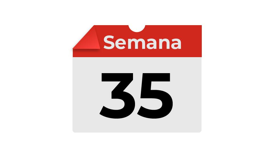 semana35