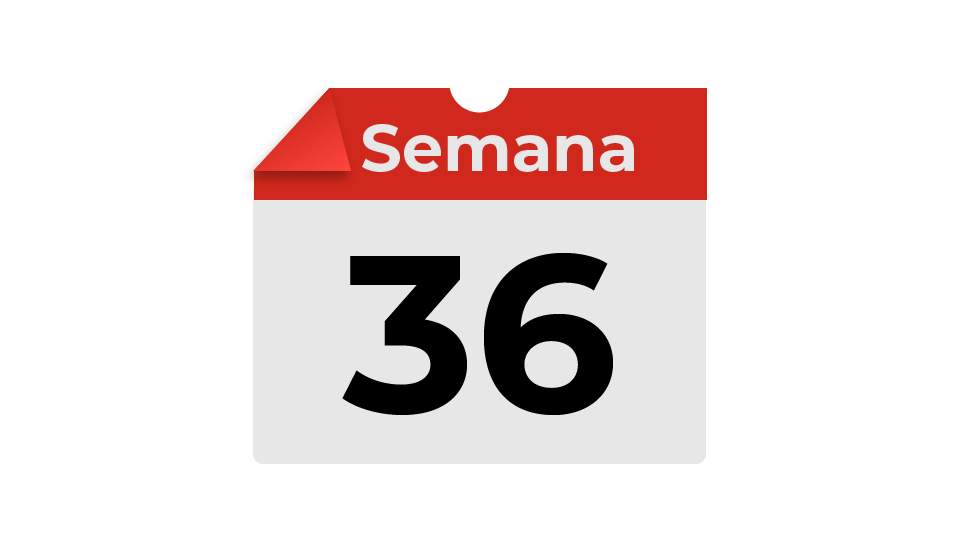 semana36