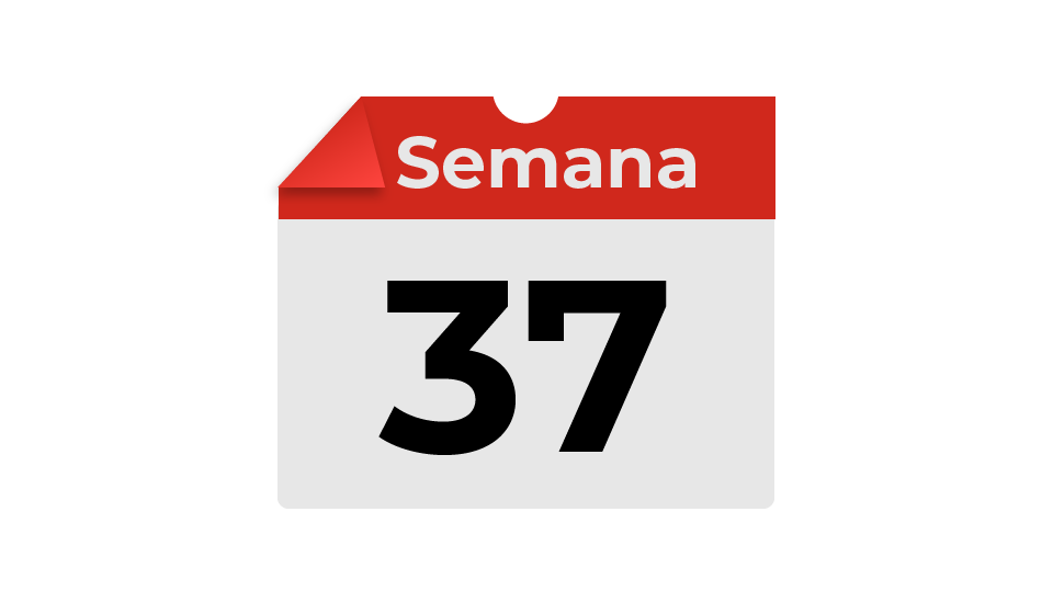 semana37