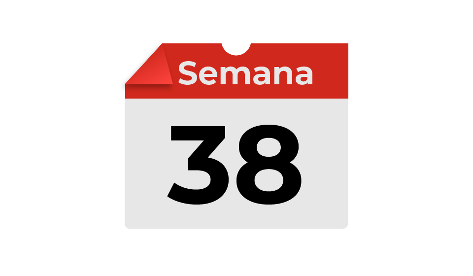 semana38